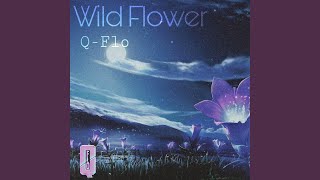 Wild Flower [upl. by Condon]