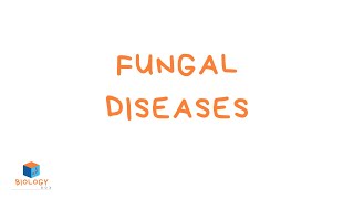 GCSE Biology  Infection amp Response  7 Fungal Diseases [upl. by Neirual225]