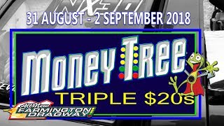 Money Tree Triple 20s  Saturday [upl. by Popper189]