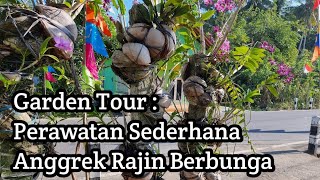 Perawatn Sederhana Anggrek Rajin Berbunga [upl. by Herrmann]