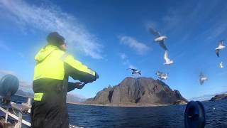 Lofoten  Friluftsliv Norge  Sogndal folkehøgskule [upl. by Hung4]