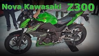 Nova Kawasaki Z300 no Salão Duas Rodas 2015  FVM [upl. by Llerrahs534]