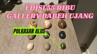 LIVE 5112024 🔴 EDISI 35 RIBU POLKASAN PUNYA BABEH UJANG GASKAN SEMOGA BERKAH TUK SEMUA [upl. by Eido]