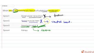 Which one is not characteristic feature of subphylum vertebrata [upl. by Bobbe324]