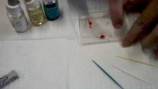 Blood Typing [upl. by Nawud]