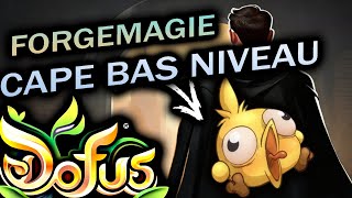 APRÈS 200 CAPES ULTIME TRYHARD pour LA PLUS BELLE CAPE TOFU FOU de DOFUS   FORGEMAGIE [upl. by Raseac]