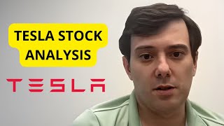 Martin Shkreli Analyse Tesla Stock  Deep Value Play [upl. by Nynnahs933]