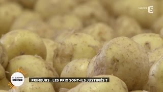 Primeurs  les prix sontils justifiés [upl. by Orlanta]