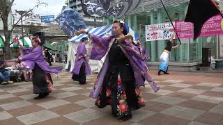 大塚商人祭り2024 ～ 東京よさこい 紅踊輝 [upl. by Folger]