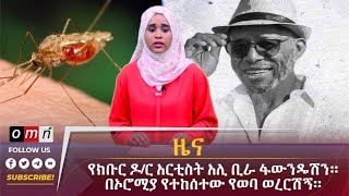 OMN ዕለታዊ ዜና June 202024 [upl. by Ocirled]