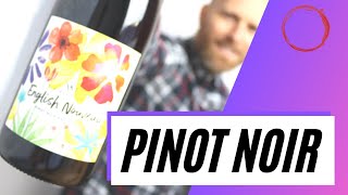 What is PINOT NOIR  Everything you need to know about this popular grape [upl. by Eural]