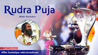 Mahalaya Amavashya spl Rudra Puja  02 Oct 2024  Live From VDS Bangalore Ashram [upl. by Yzeerb488]