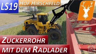 LS19 Hof Hirschfeld 43  Der Radlader muss endlich ran Courseplay im Einsatz  Let´s Play [upl. by Ahsitra]