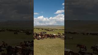 Mongolia Nature Over Humanity [upl. by Eenahs19]