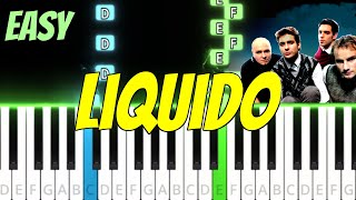 Learn Narcotic by Liquido on Piano Easily  StepbyStep Piano Roll [upl. by Wisnicki]