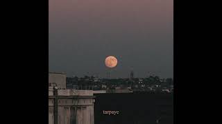 Shareh  talking to the moon  Prod by umairmusicxx​⁠ [upl. by Sesom]