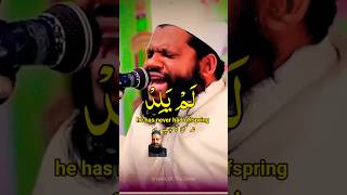 Tollway e Quran  beautiful soulfulrecitation urdunaat foryou hafiz [upl. by Raimund]