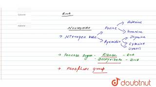 In DNA uracil is replaced by [upl. by Litman246]