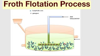 Froth Flotation Process [upl. by Peggir354]