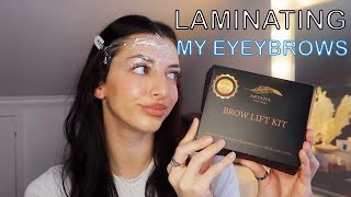 LAMINATE YOUR BROWS  DIY [upl. by Siloa690]