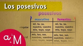 Los determinantes posesivos numerales e indefinidos  Vídeo Educativo para Niños [upl. by Jennifer]