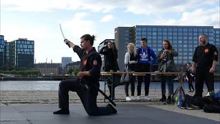 Genbukan Mikazuki Dojo demonstration in Copenhagen [upl. by Parthinia]