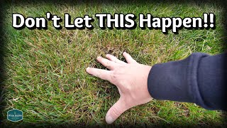 An EASY FIX For Your THINNING Lawn [upl. by Athelstan650]