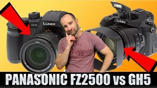 Panasonic Lumix FZ2500FZ2000 vs Panasonic GH5 [upl. by Ayram]