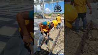 Advanced Termite Reticulation System by Techno Pest Control Cebu  Ultimate Home Protection [upl. by Filip471]