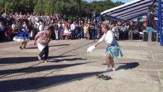 Cueca campesina en Ninhue fiesta de la vendimia [upl. by Ellissa]