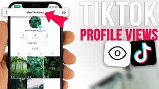 How To See Who Viewed Your Tiktok Profile [upl. by Seibold]