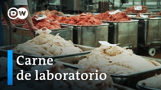 El consumo de carne y sus alternativas  DW Documental [upl. by Anyd837]