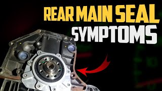 4 Signs of a Rear Main Seal Leak amp Replacement Cost [upl. by Lorelei]