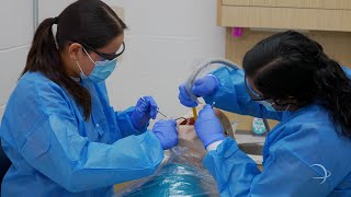 STISD  Career amp Technical Education Dental Assistant Program at Health Professions [upl. by Notwal664]