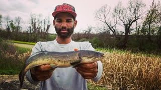 Choupique Bank Fishing Ruddock Louisiana [upl. by Frolick571]