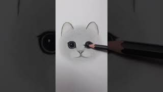 cute cat Sketch  Farjana Drawing Academy short [upl. by Odranoel]