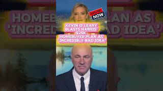 Kevin OLeary Slams Harris 25K Homebuyer ProposalUSAUKEuropeUAEAfricaAustraliaIndiaNews [upl. by Nahtiek452]