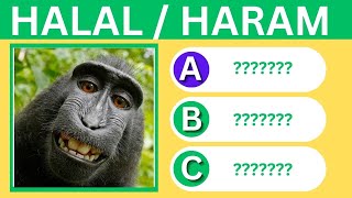 Islamic Quiz 🕌  Haram or Halal Animals To Eat  no music [upl. by Adnaloj940]