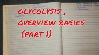 glycolysis  overview basics part 1 [upl. by Amar]