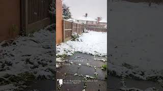 Birminghams First Snow of 2024 uk christmas snowfall birminghamuk mushroom [upl. by Francine793]