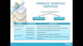 FARMACOS AGONISTAS SIMPÁTICOS [upl. by Sturges]