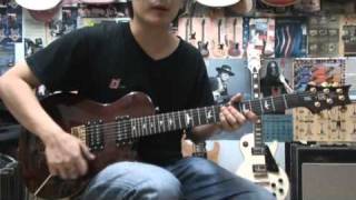 PRS SE MIKAEL AKERFELDT SIGNATURE GUITAR CLEAN SOUND DEMO [upl. by Gleeson]