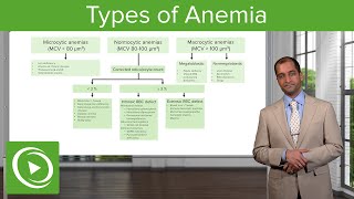 Anemia Microcytic Normocytic amp Macrocytic Type – Hematology  Lecturio [upl. by Tonnie678]