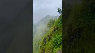 Explore 🏕️  Hridayam  Song  travel status trending nature travel love viralvideo munnar [upl. by Cammi]