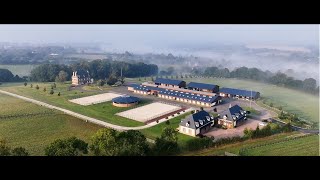 Le Haras de Beaufay  un magnifique élevage de PurSang en Normandie [upl. by Tilden]