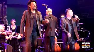 UB40  Kingston Town  Reggae Sundance 2014 NL [upl. by Llehcnom]