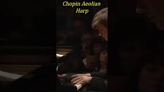 Chopin quotAeolian Harpquot Étude Op 25 No 1 [upl. by Nnayd444]