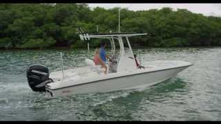 Boston Whaler 240 Dauntless [upl. by Llenol]