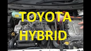 Get to know your Toyota Toyota Corolla Fielder Hybrid [upl. by Ahar]