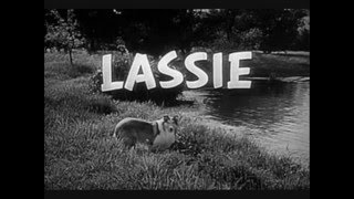 Lassie series photos and theme song [upl. by Bethena]